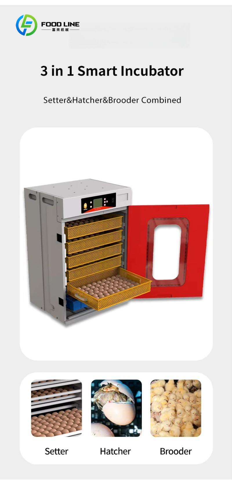 Neuer Wachtel- und Hühnerinkub – Rotary Bakery Oven Bewertung und Preis